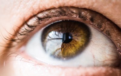 Primer ensayo en humanos con células madre, para enfermedades de la superficie ocular