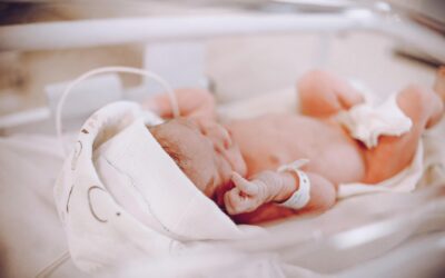 La terapia con células madre mesenquimales, es prometedora en bebés con lesión cerebral