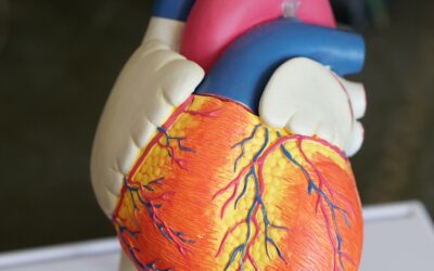 Células del cordón umbilical previenen la progresión de la nefropatía diabética