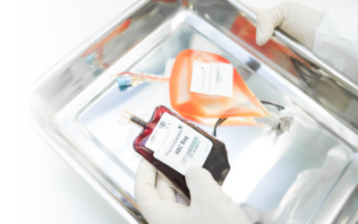 Nuevo estudio indica que las células de sangre de cordón umbilical tienen potencial de mejorar la parálisis cerebral