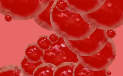 Viabilidad y seguridad de la administración autóloga de células derivadas de sangre del cordón umbilical en bebés extremadamente prematuros: un ensayo de fase I, de un solo centro, abierto y de un solo brazo (estudio CORD-SaFe)