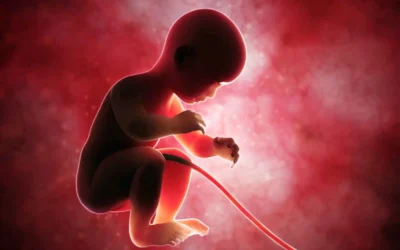 Más facilidades para conservar la sangre del cordón umbilical en hospitales públicos