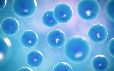 Las células mesenquimales del cordón umbilical pueden tratar la fibrosis hepática