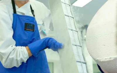 ¿Cómo elegir el mejor banco de células madre de cordón umbilical para tu bebé?