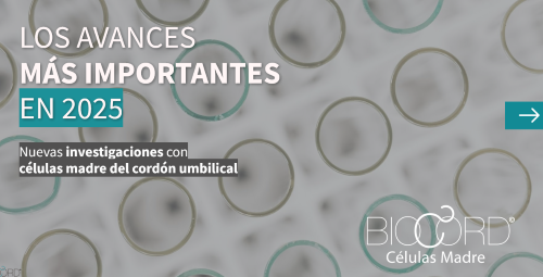 VER RESUMEN INTERACTIVO