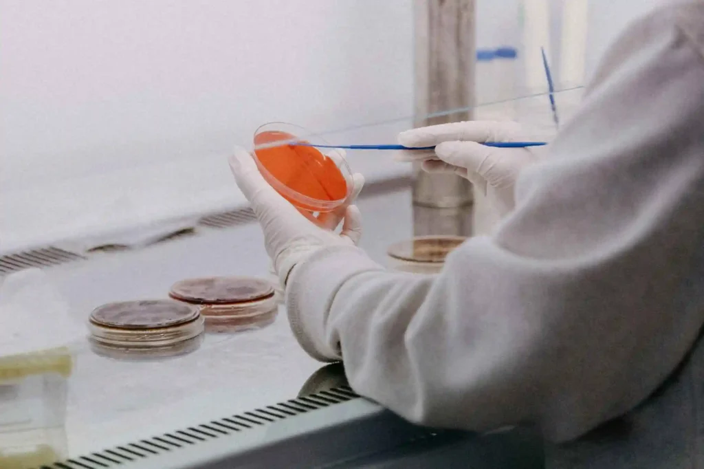 laboratoiro celulas madre 